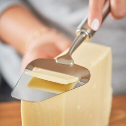 Peynir Dilimleyici Paslanmaz Çelik 24 cm - 2